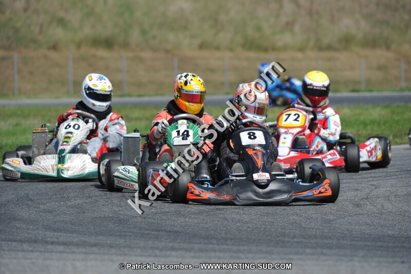 DSC_ (1385).JPG